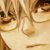 :iconwataru007: