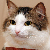 :iconwatch-everyone: