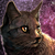 :iconwatch4watchartists: