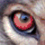 :iconwatchful-eye: