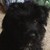 :iconwater13852: