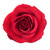 :iconwaterandair: