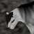 :iconwaterandicewithbones:
