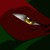 :iconwatercat1302: