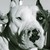 :iconwatercolor201: