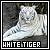 :iconwaterlilly2808: