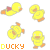:iconwatermelonmartini: