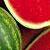 :iconwatermelonmilkshake: