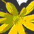 :iconwaterylt: