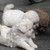 watkinnz24 :iconwatkinnz24: