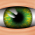 :iconwattsdavid: