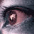 :iconwaut: