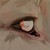 :iconwavell: