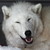 :iconwawawa321: