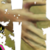 wawsia :iconwawsia: