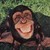 :iconwaxmonkeys: