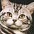 :iconway2win: