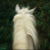 :iconwayatalitawadi: