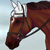 :iconwayfaererridge: