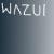 :iconwazui: