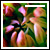 :iconwazzar: