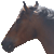 :iconwb-equine-stock: