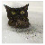 :iconwbarno1: