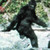 :iconwcid10:
