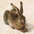 :iconwdonohue: