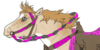 :iconwdr-equines: