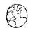 :iconwdstudio: