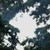 :iconwe-are-stars: