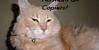 :iconwe-hate-copiers: