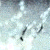 :iconwe-have-this:
