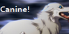 :iconwe-love-canine: