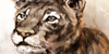 :iconwe-love-lionpath: