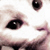:iconwe-need-oxygen:
