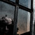 :iconwe-wear-the-mask: