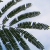 :iconwe639: