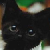:iconweantra: