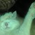 :iconWearyportraits: