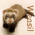 :iconweasilish: