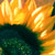 :iconweasley-stock: