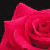 :iconweatherstorm: