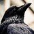 :iconweatherswrites: