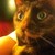 :iconweb-haunting: