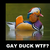 :iconweb-rider: