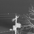 :iconwebbphotos: