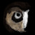 :iconwebburner: