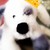 :iconwebkiinzxart:
